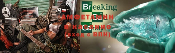 шишки Корсаков